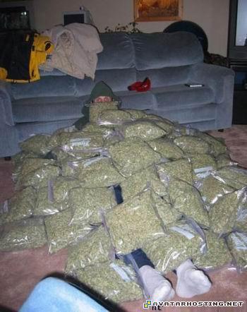 photography blanket[1]